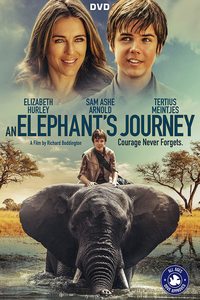 Download An Elephant’s Journey (2017) Dual Audio [Hindi ORG-English] WEB-DL || 1080p [1.6GB] || 720p [800MB] || 480p [300MB] || ESubs